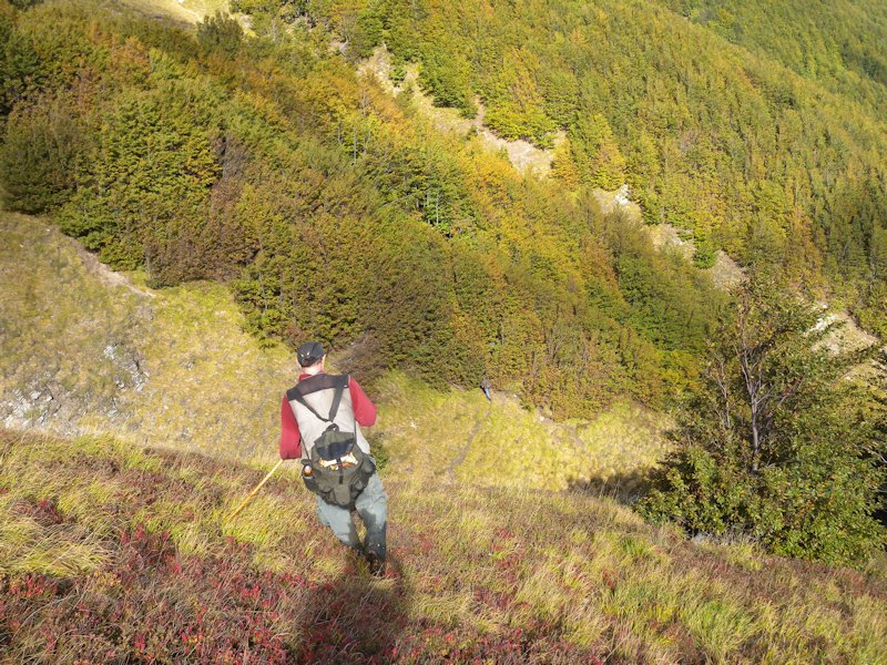 Ottobre tra gli edulis!!!!